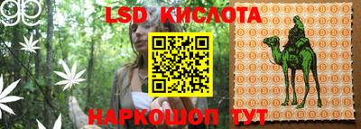 шишки Малгобек