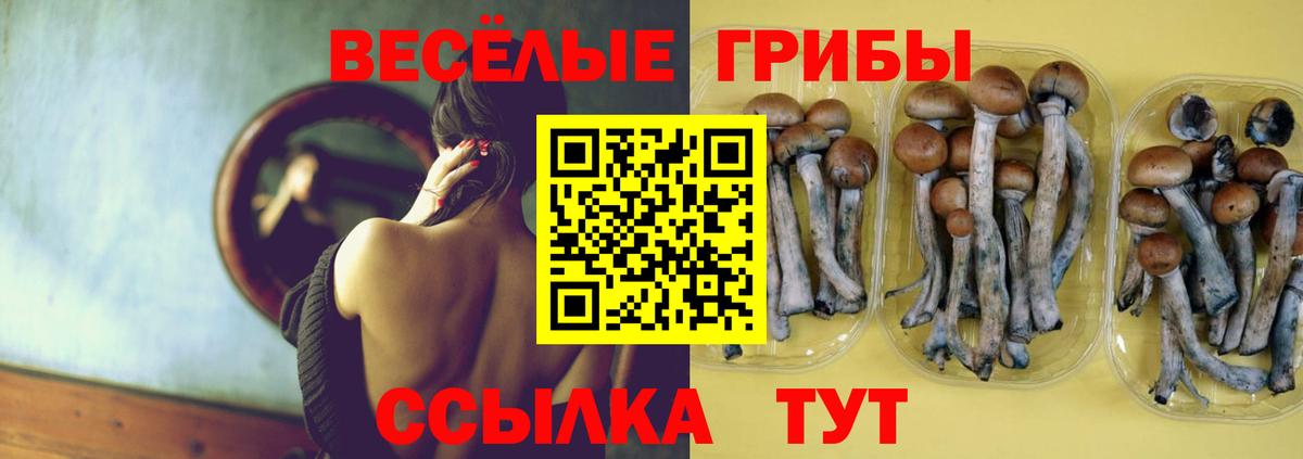 Псилоцибиновые грибы Psilocybine cubensis Воронеж